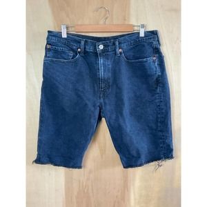 Levi's Men's Blue Flat Front Shorts